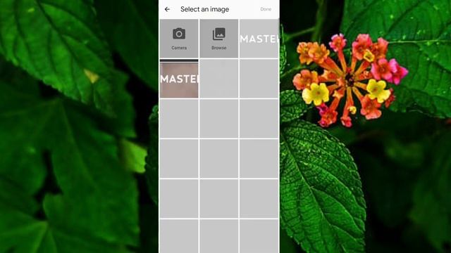 || Remove image Background remove image background in figma remove image background in powerpoint. смотреть онлайн