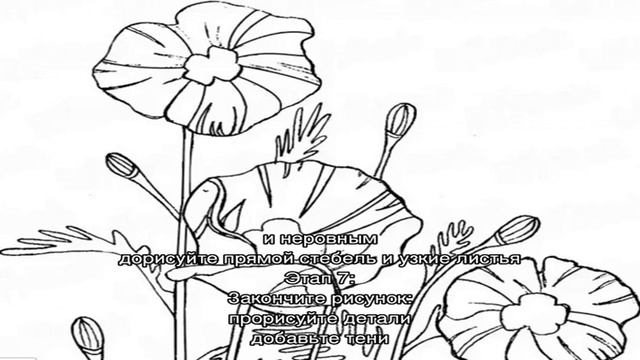 Как нарисовать клумбу с цветами карандашом поэтапно для начинающих и детей? Как нарисовать клумбу . смотреть онлайн