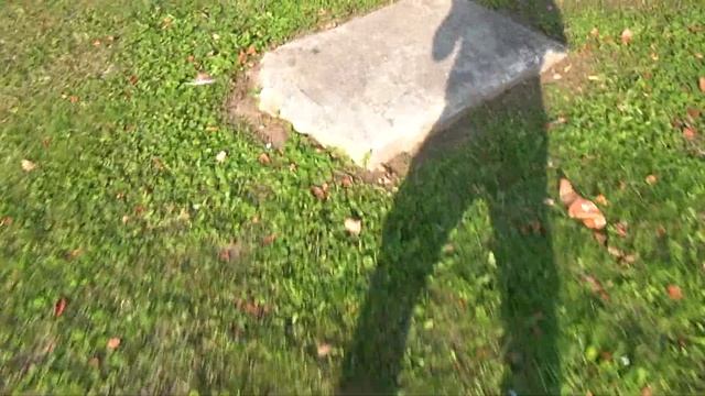 Самая высокая колокольня России - 82 м.. Поречье - Рыбное. Ростовский район. Ярославская область. смотреть онлайн