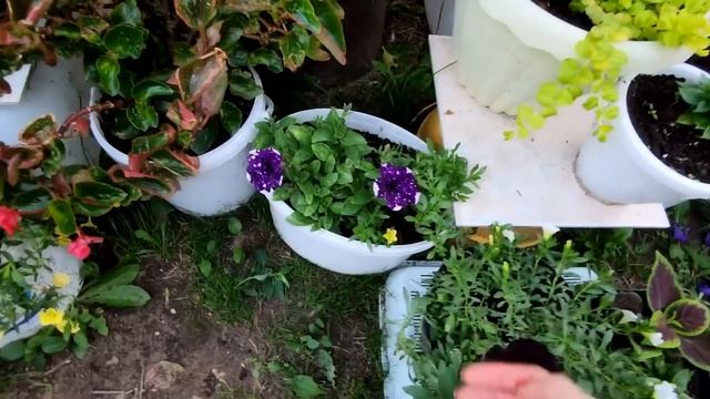 ЛЕТО.СОЛНЦЕ.ЦВЕТЫ.2021