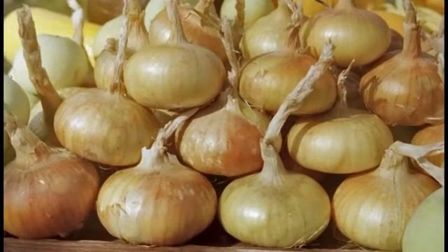 посев семян ибериса смотреть онлайн