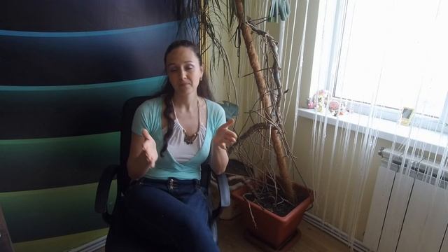 КАК НАЗВАТЬ СОБАКУ? 50 вариантов кличек для йоркширского терьера и других пород. смотреть онлайн