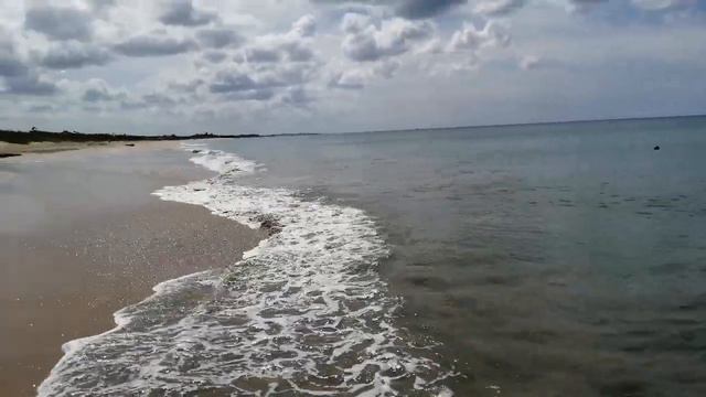 Шри-Ланка, пляж эко-отеля Ugo Jangle Beach*****. Июнь 2022 смотреть онлайн