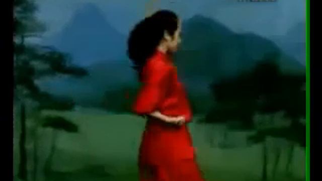 Базовая форма убу цюань (五步拳) или "Кулак пяти шагов". смотреть онлайн