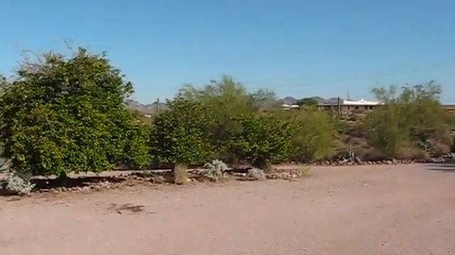 Konrad Ranch Walk Around смотреть онлайн