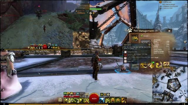 GW2 Ranger Build - Versatile Longbow V2 смотреть онлайн