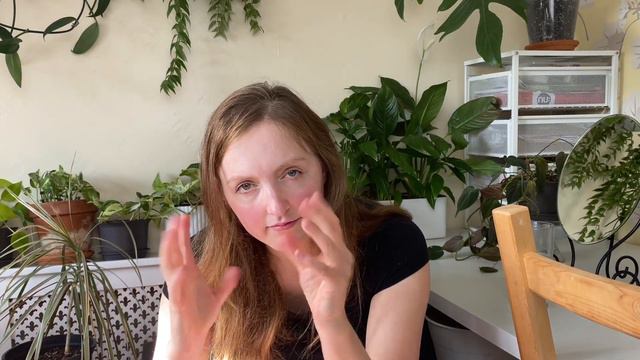 Beginner's Guide To House Plant Care | INDOOR PLANTS CARE TIPS