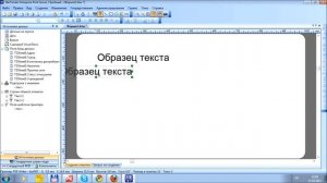BarTender печать наклеек