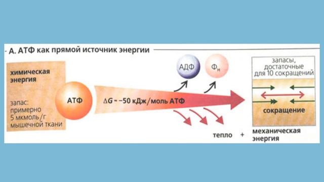 Секреты Мастеров Ремонта
