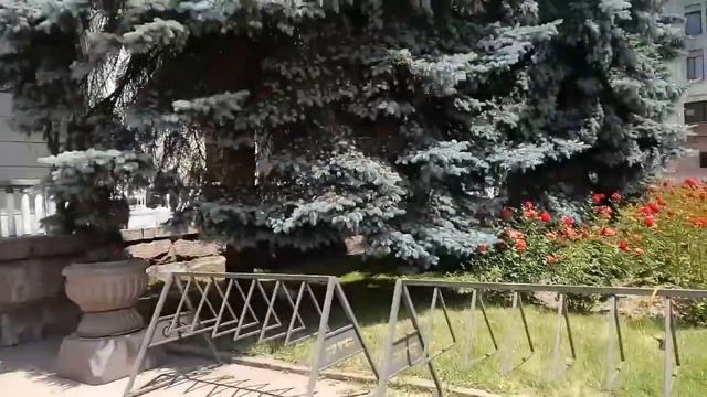 ПУТЕШЕСТВИЕ ФИГ ЗНАЕТ КУДА смотреть онлайн