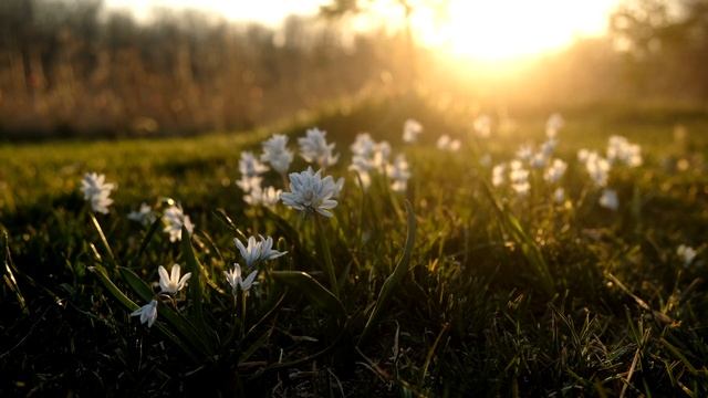 ДУМАЙ ХОРОШЕЕ смотреть онлайн