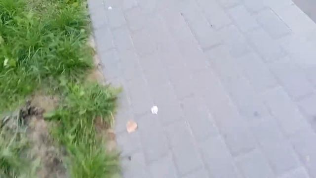 2 редких домофона Cyfral