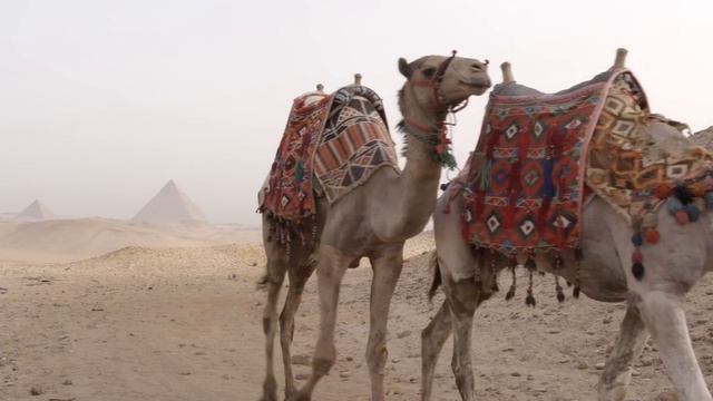 Незабываемый отдых в Египте смотреть онлайн