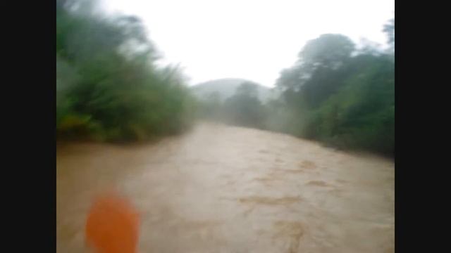 duck смотреть онлайн