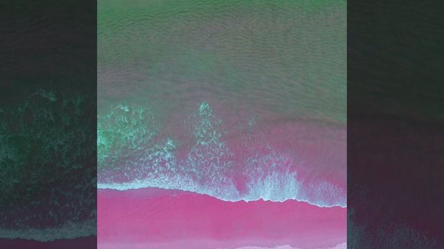 Groovy Night Tranquility смотреть онлайн