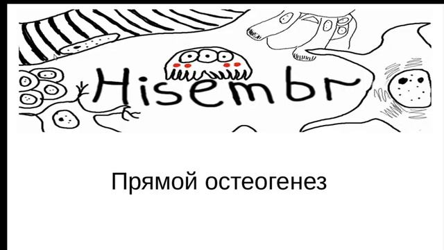 Прямой остеогенез. смотреть онлайн