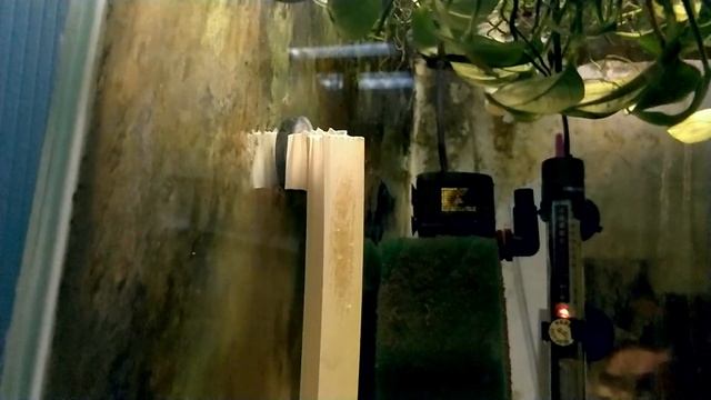 Больше икры.... Больше рыбы смотреть онлайн