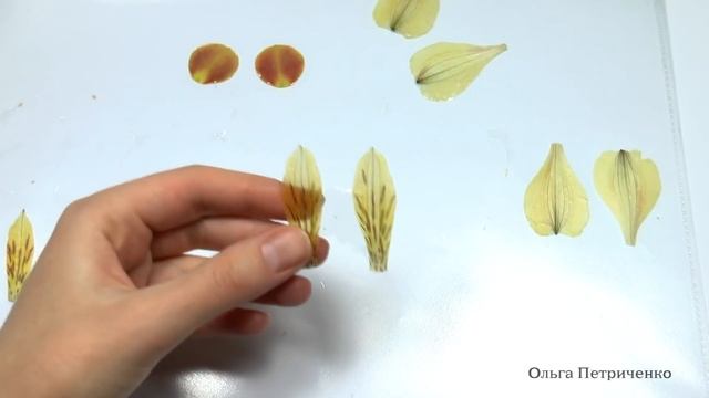 ♥♥♥ Делаем украшения из натуральных лепестков цветов и эпоксидной смолы ♥♥♥ смотреть онлайн