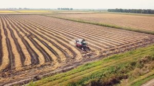 уборка риса на рисовых чеках Кубани -  18 сентября 2021