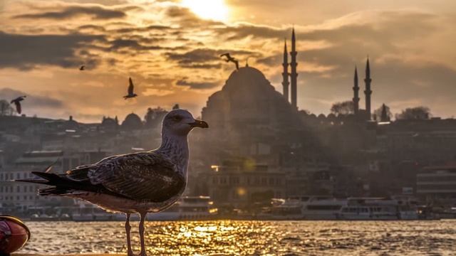 Turkish Instrumental Music / Турецкая Инструментальная Музыка смотреть онлайн