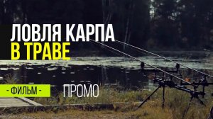 Ловля карпа в траве. Рыбалка в лесном озере