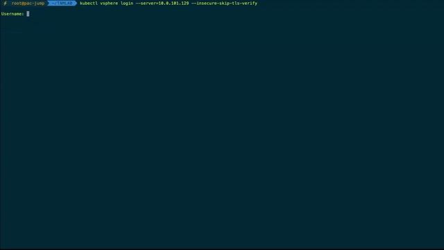 TAM Lab 067 - vSphere 7 w/Kubernetes Walk-Through смотреть онлайн