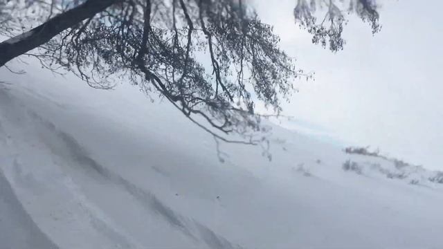 Тайга Патруль Аккермановка смотреть онлайн