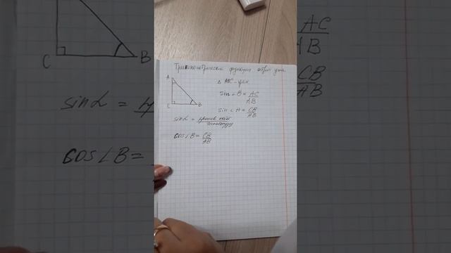 Тригонометрические функции острого угла. Синус, косинус, тангенс и котангенс. смотреть онлайн