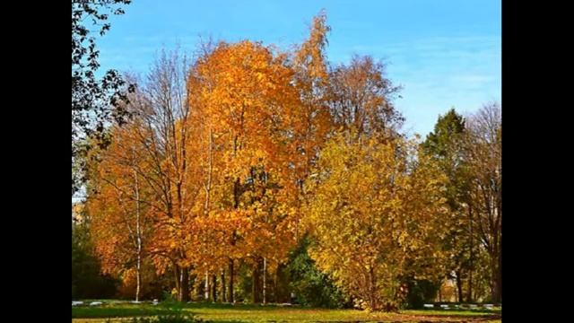 "Осенняя песнь" П.И.Чайковский смотреть онлайн
