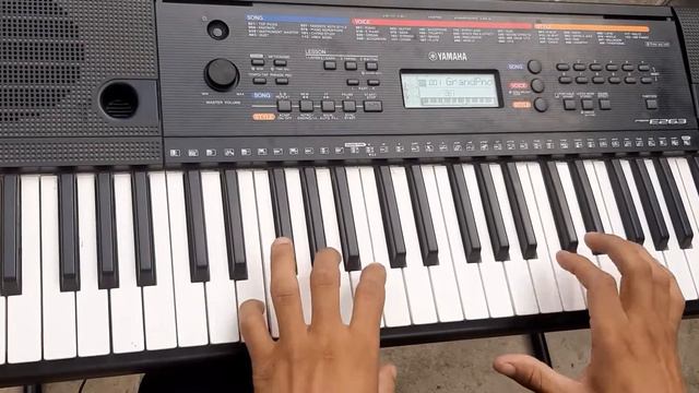 probando yamaha psr e263 con merengue avanzado смотреть онлайн
