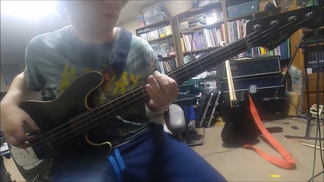 Euneirophrenia by Eric Branchek - Bass Playthrough смотреть онлайн