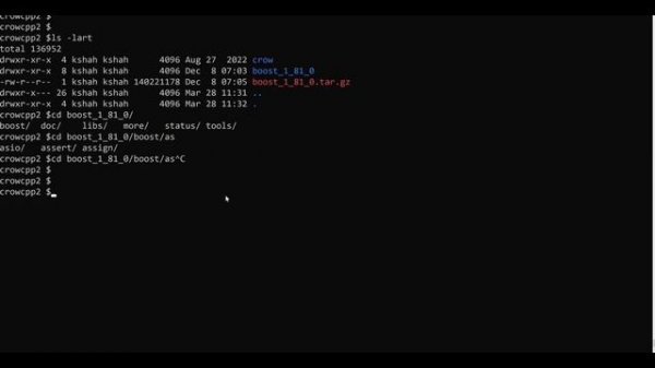 Setting up a simple web server using Crow framework #cpp #crowcpp #coding #webserver #webdevelopmen
