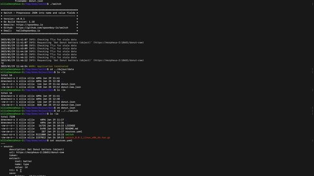 Switch - JSON preprocessor for Morpheus option lists смотреть онлайн