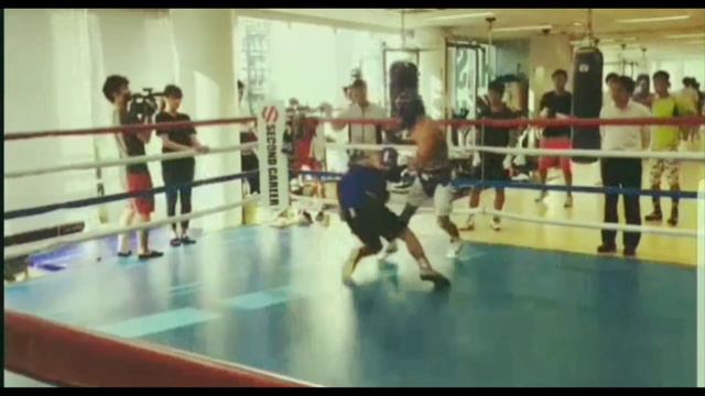 The Japanese Monster Naoya Inoue Training and Sparring Highlights смотреть онлайн