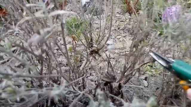 Фитнес и Тренировки