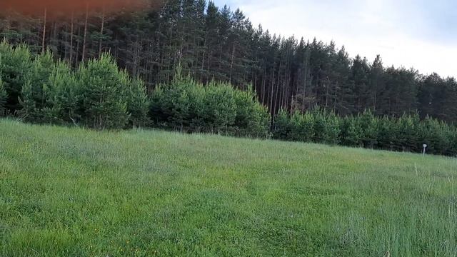 исцеление Христом слепорожденного. смотреть онлайн