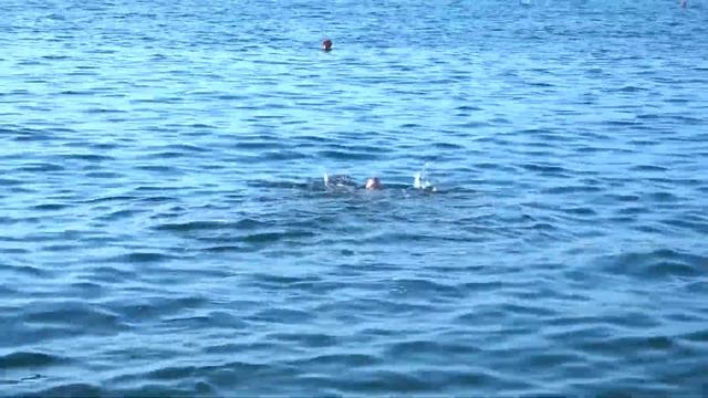 Sevastopol. Cape Crystal. Crimea. Севастополь. Мыс Хрустальный. Radodar TV. 10 августа 2016 г. смотреть онлайн