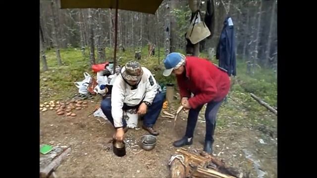Энгозеро. Карелия. 2015 год. смотреть онлайн