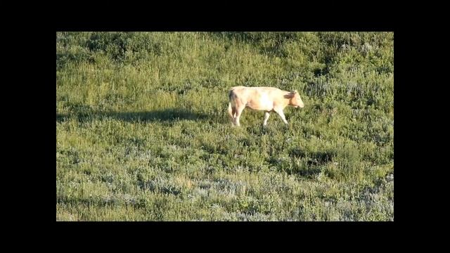 башкирия смотреть онлайн