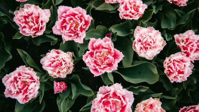 Проучила. Жизненные истории. Интересные истории. Душевные истории. Рассказы. Увлекательные истории. смотреть онлайн