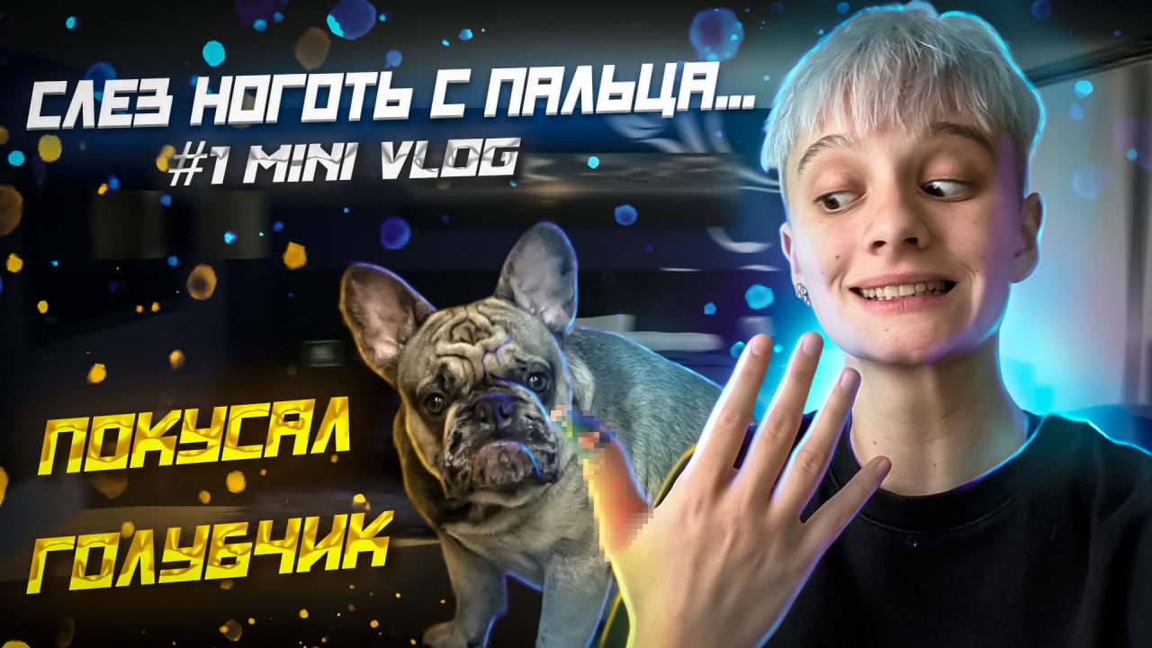 СЛЕЗ НОГОТЬ С ПАЛЬЦА / ПОКУСАЛА СОБАКА // #1 MINI VLOG смотреть онлайн