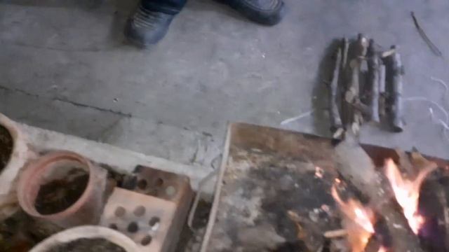 Прилетела? голубка и целый день не улетает... не знаем, что делать? смотреть онлайн