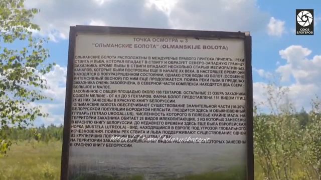 Татьяна Сидорович Экотропа "Ольманские болота" или мини путешествие по "Лёгким Европы" смотреть онлайн