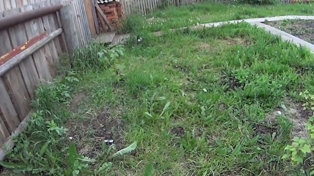 КАК ОТЛИЧИТЬ ИЖ ПЛАНЕТУ ОТ ЮПИТЕРА!? ЛЕГКО! смотреть онлайн