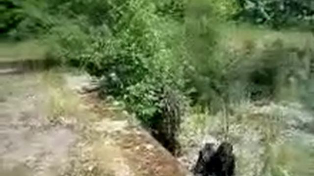 Страйкбол Барановичи смотреть онлайн