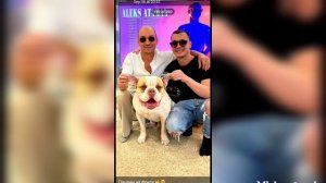 музыка алекса атамана и финика