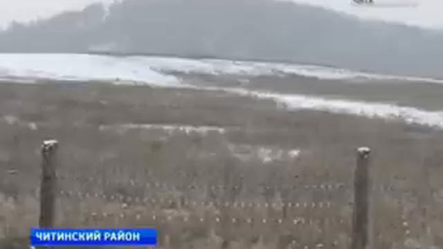 Россельхознадзор по Заб. краю и Амурской области смотреть онлайн