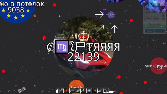 мудодятел ходит где хочет | Круги ВК смотреть онлайн