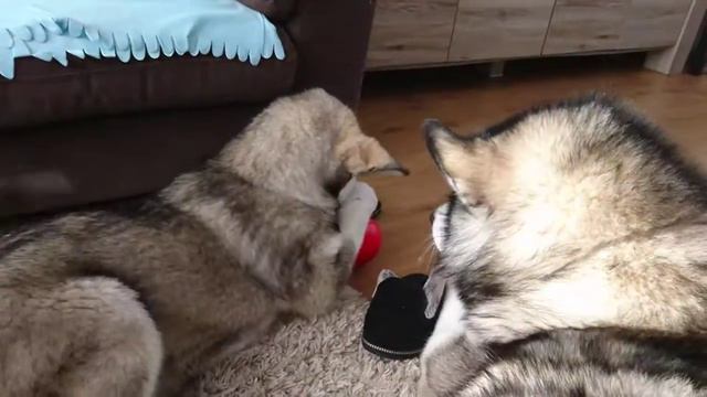Ну как же достать конфетки? смотреть онлайн