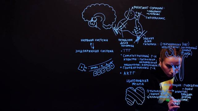 большая лекция по гормонам для ЕГЭ по биологии смотреть онлайн